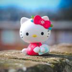 Ramin Profile Picture