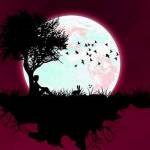 charan86125 Profile Picture