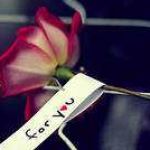 Namdevan Profile Picture