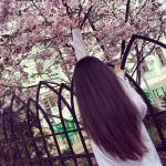 Niradit Profile Picture