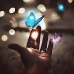 Haleemah Profile Picture