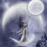 Parkash0 Profile Picture